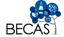 becas_0.jpg